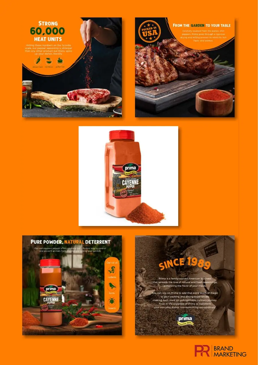 Product image campaign design: steak seasoning